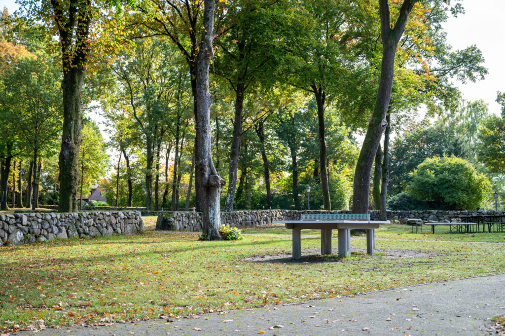 Eine Tischtennisplatte steht im Freien auf einer Wiese, umgeben von hohen Bäumen und Steinmauern in einem sonnenbeschienenen Park.